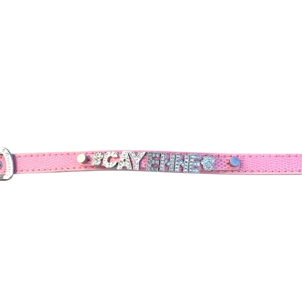 Personalized CAYENNE Pink Dog Collar with Rhinestone Letters and Buckle ~ Small - Picture 3 of 8